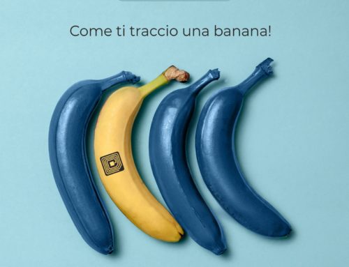 Come ti traccio una banana!